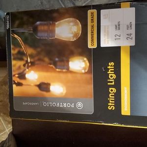 Portfolio landscape string lights.